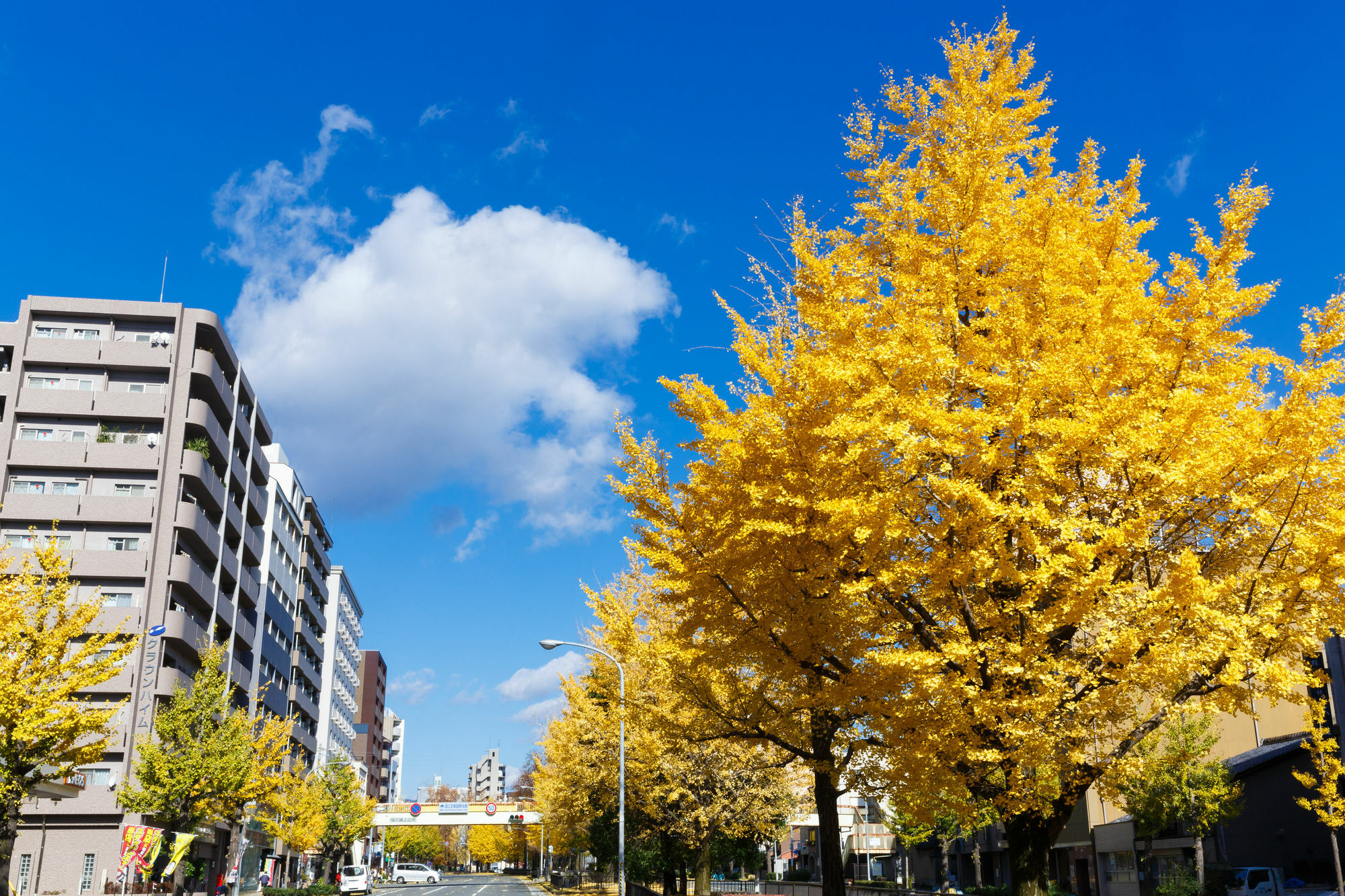 Kyoto City Hotel Buitenkant foto